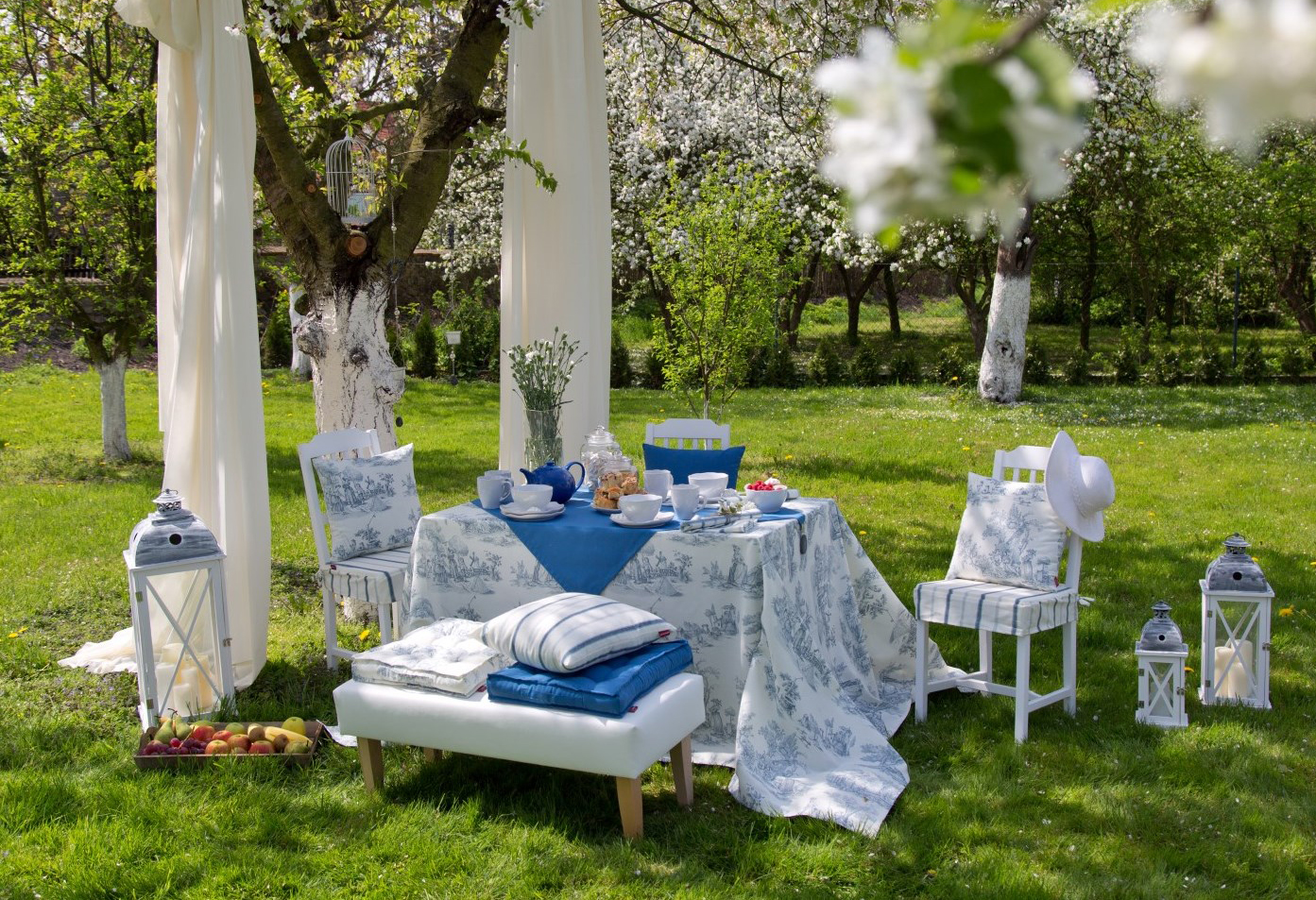 Jardin à la provençale
