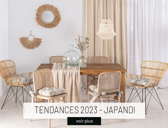 TENDANCES%202023%20-%20JAPANDI.jpg