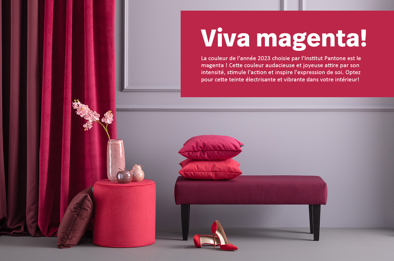baner_viva_mag.jpg