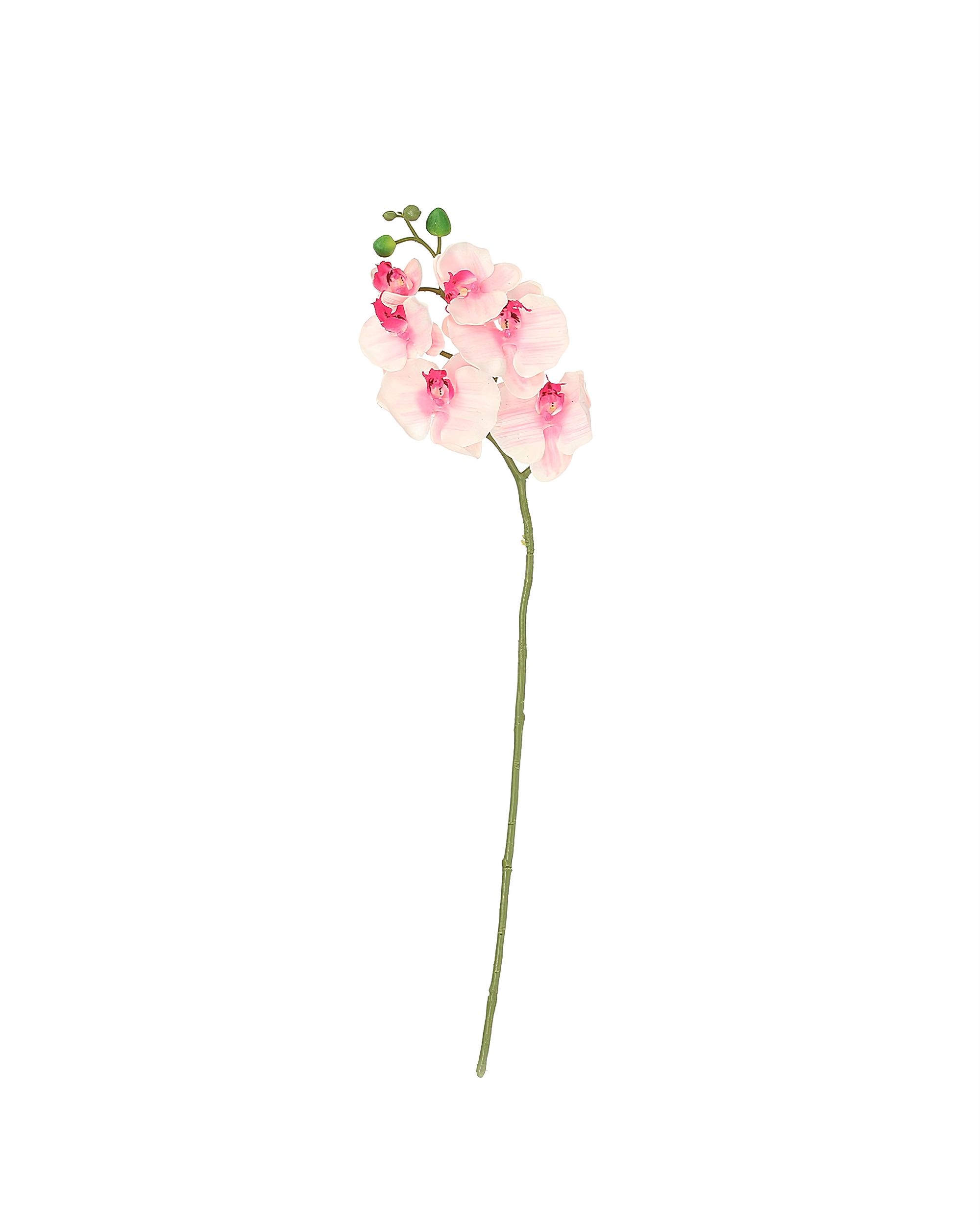 Tige d'orchidée Orchid 65cm light pink
