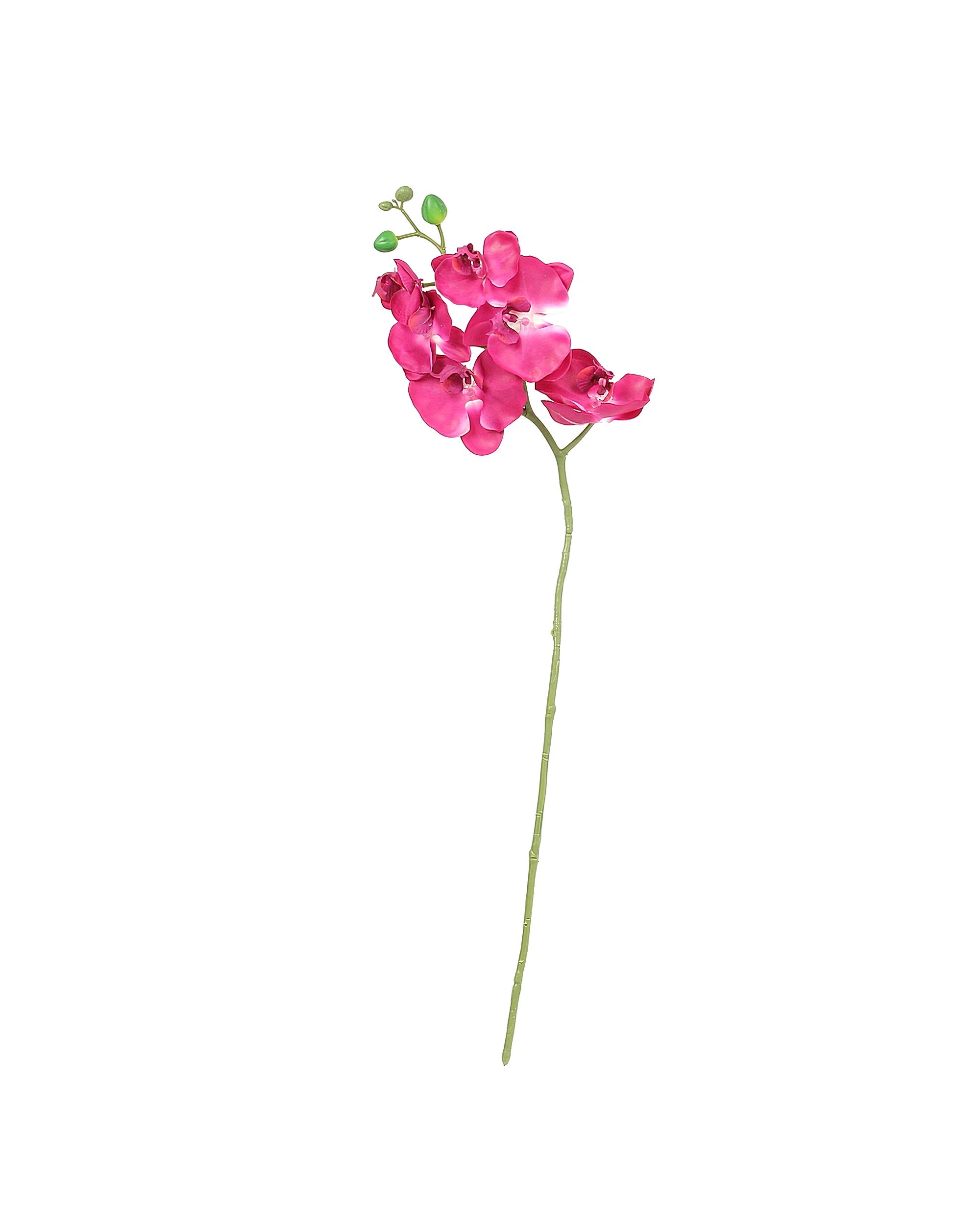 Tige d'orchidée Orchid 65cm pink