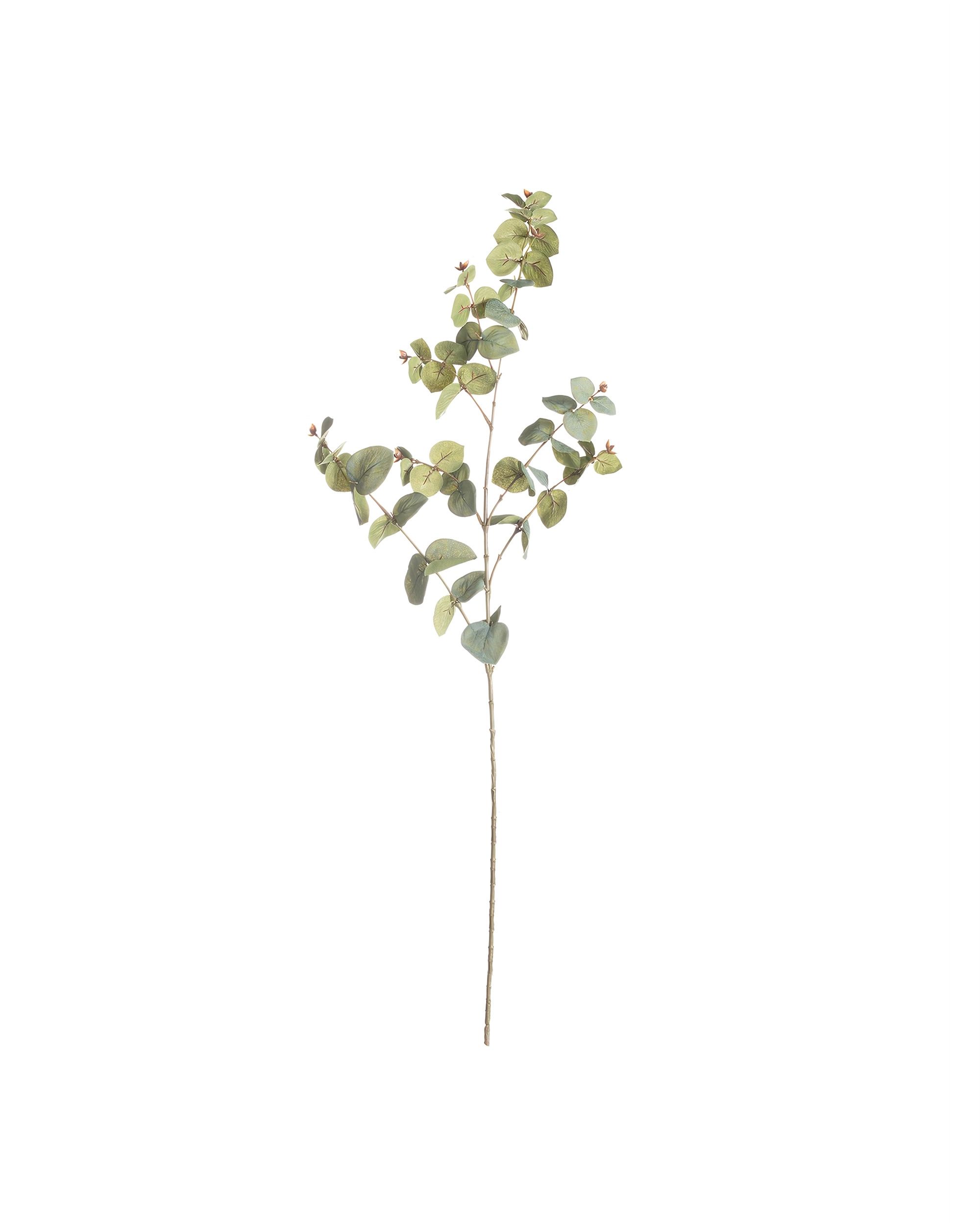 Branche d'eucalyptus 90cm light green