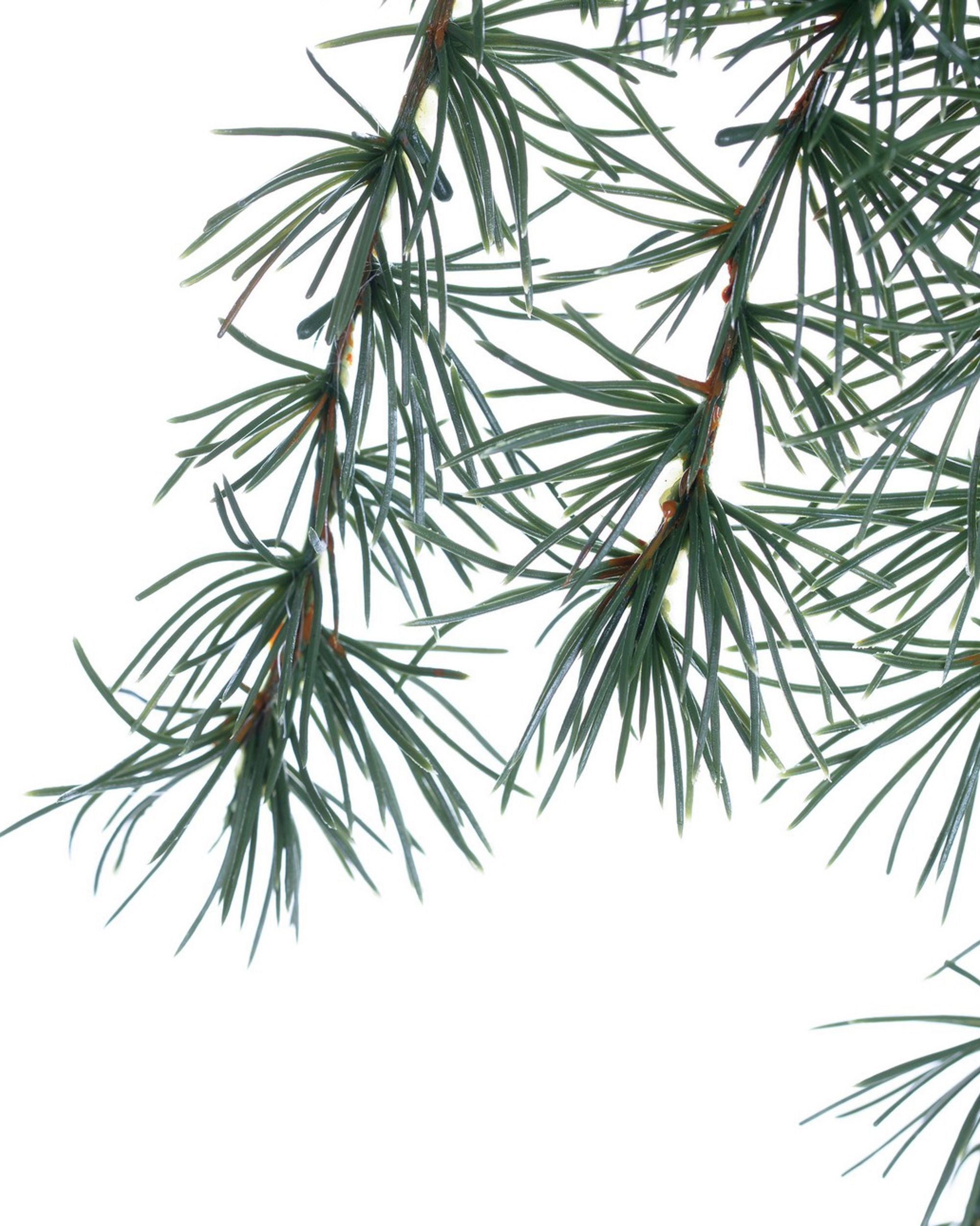 Branche Christmas Tree 30x2x60cm dark green (hover)