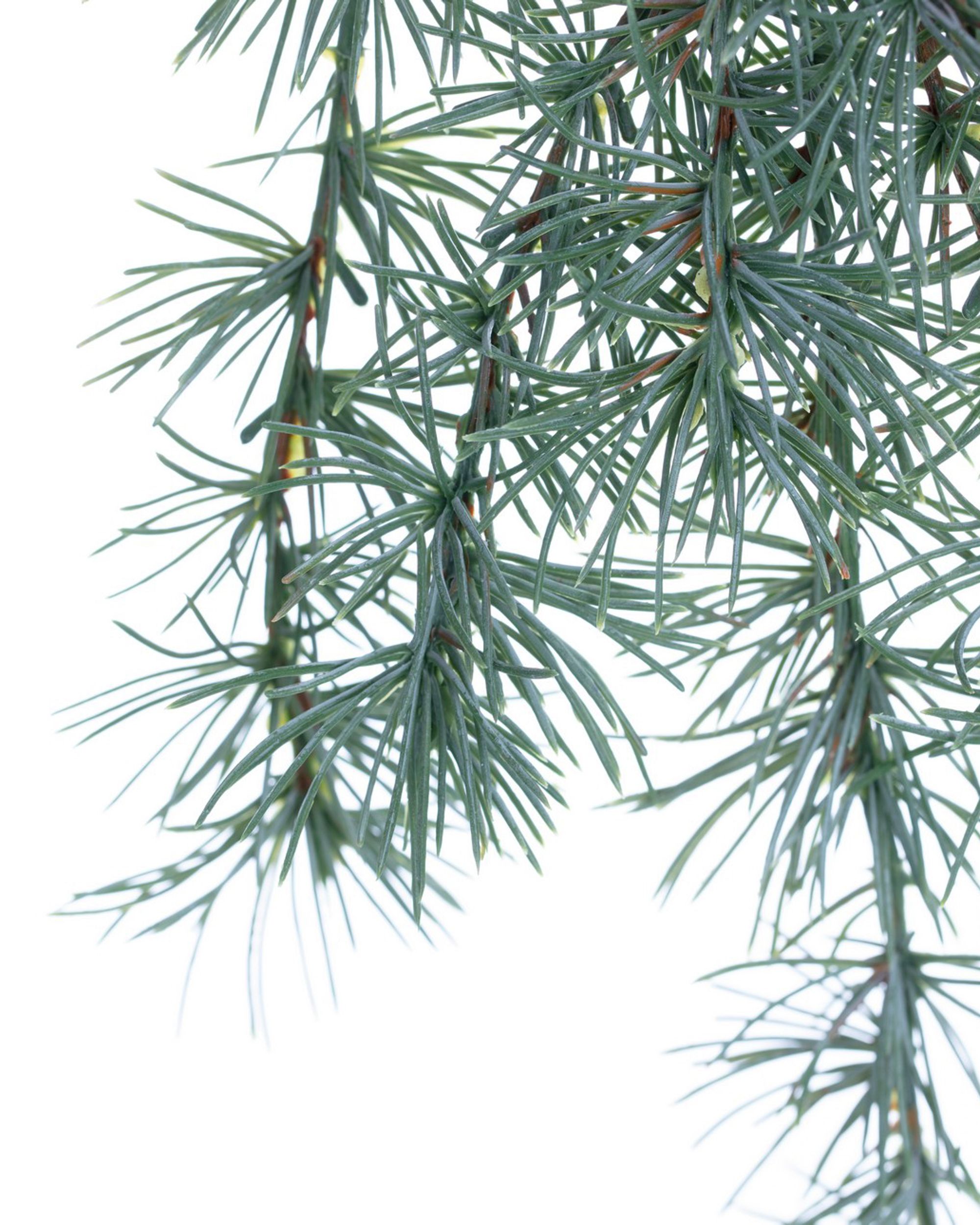 Brindille Christmas Tree 30x2x60cm light green (hover)