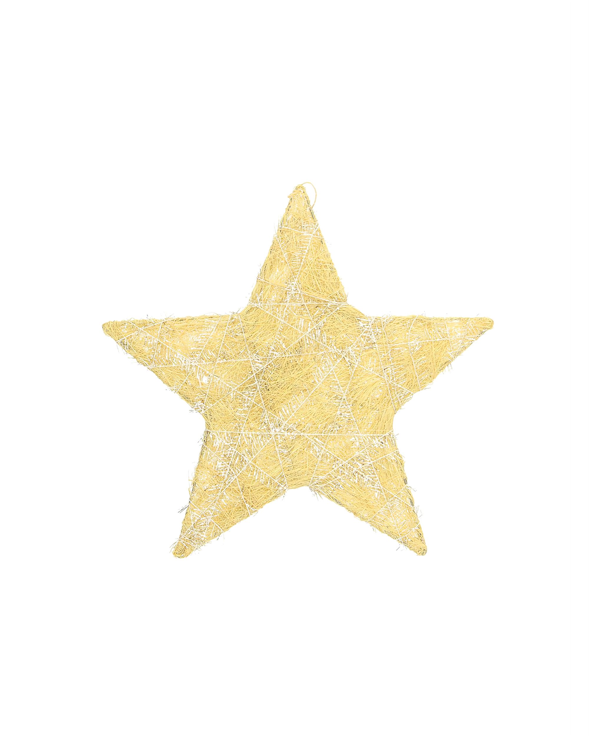 Décoration de Noël Golden Star II 25 cm