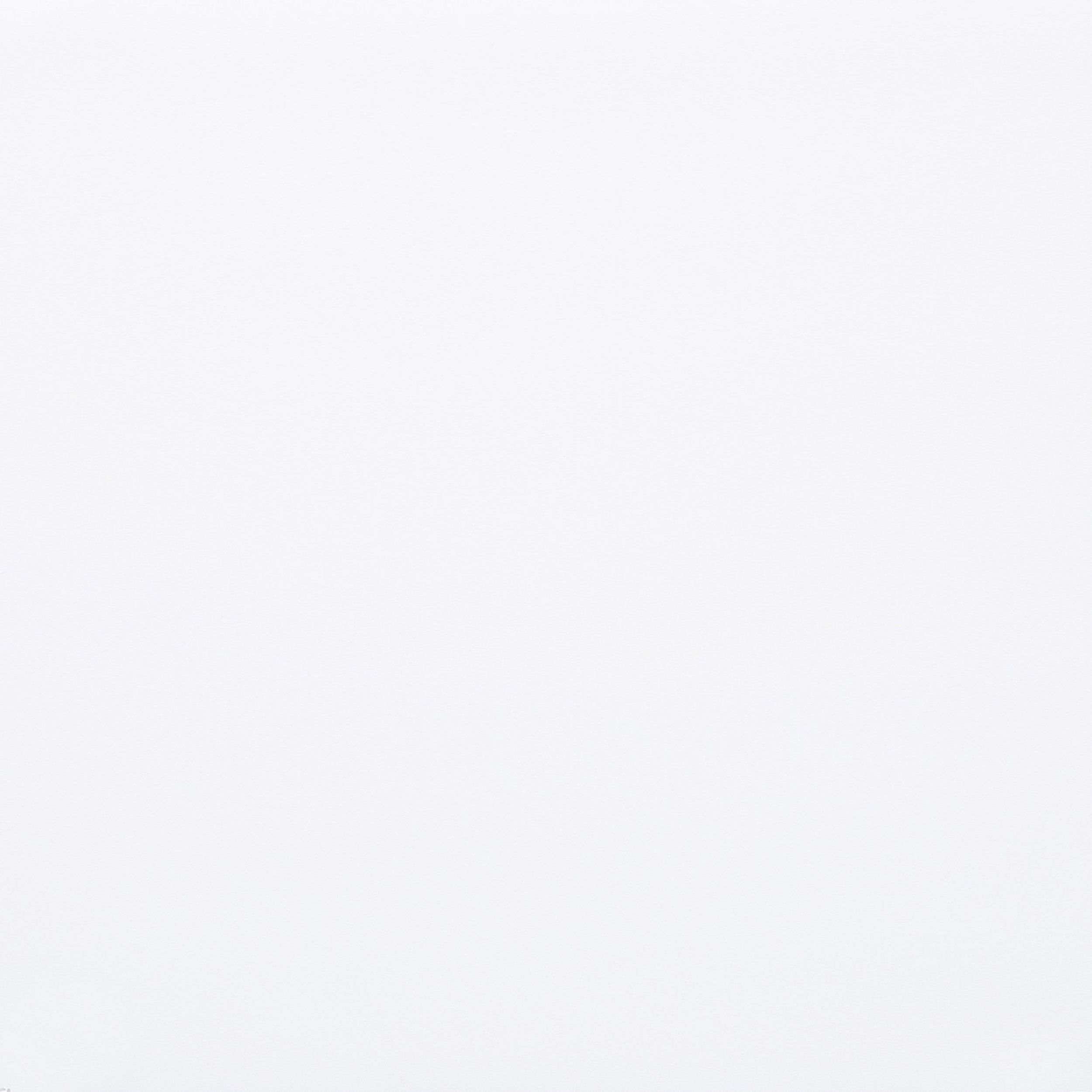 Blackout Silver – stores enrouleurs 051 blanc