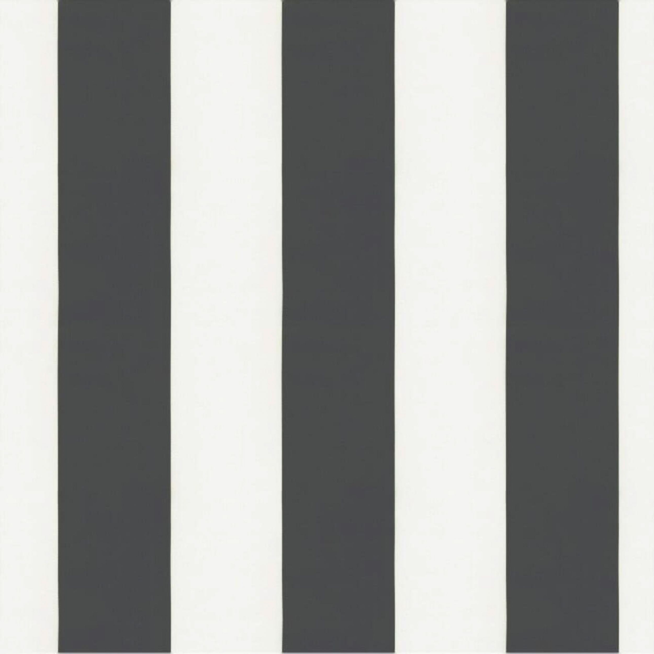 Aria 137-53 rayures noir et blanc