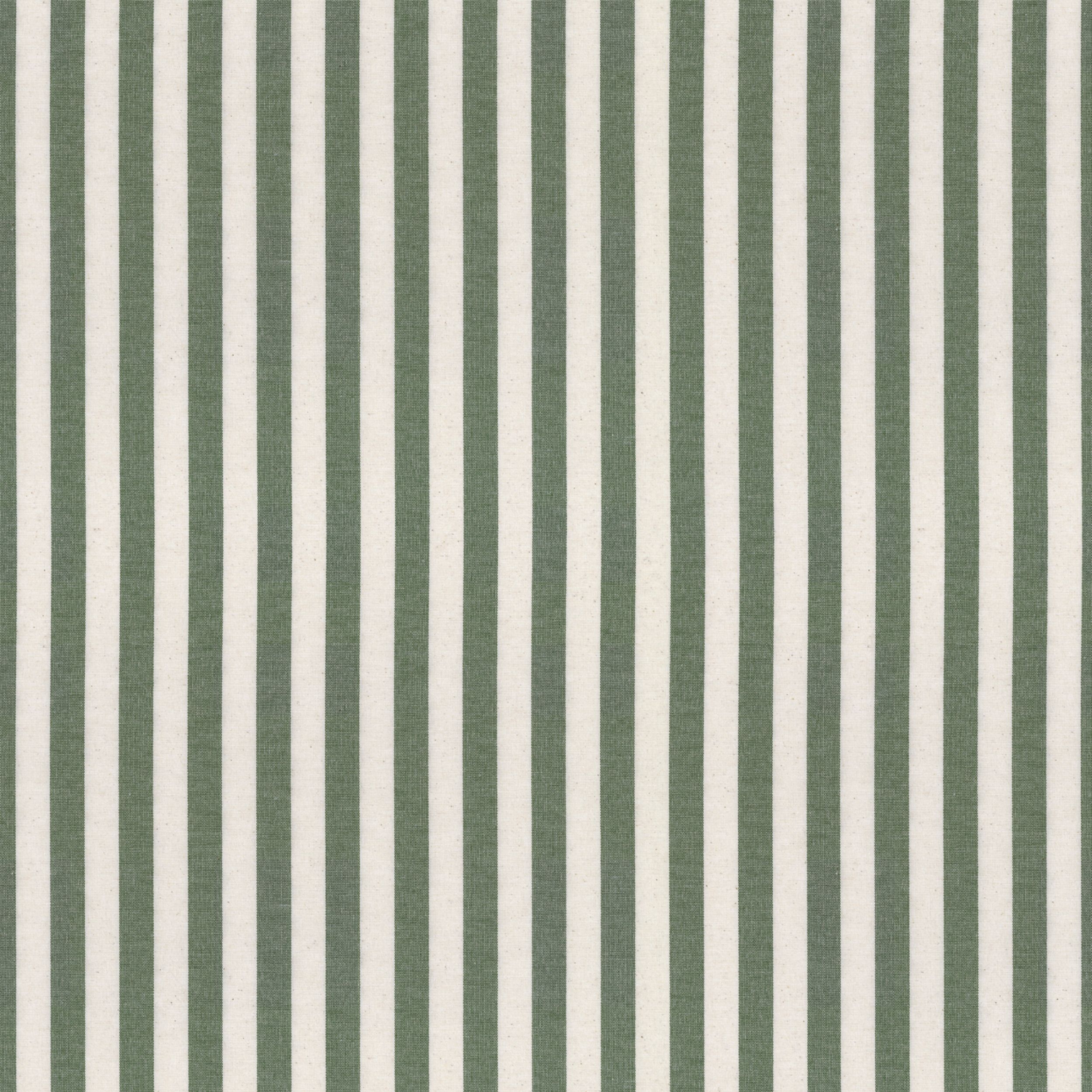 Quadro 144-35 rayures vert et blanc (1,5 cm)