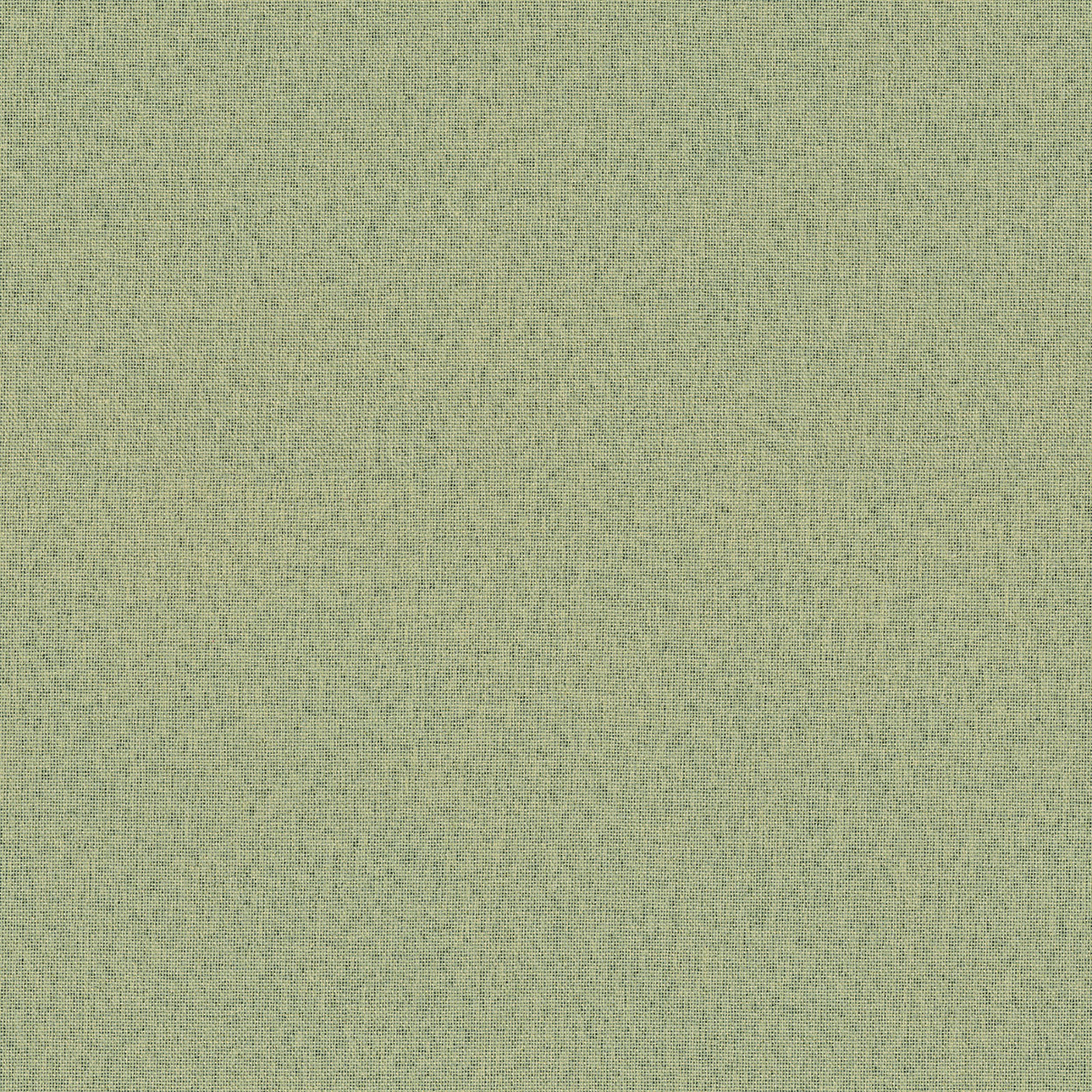 Blackout Soft 269-23 vert