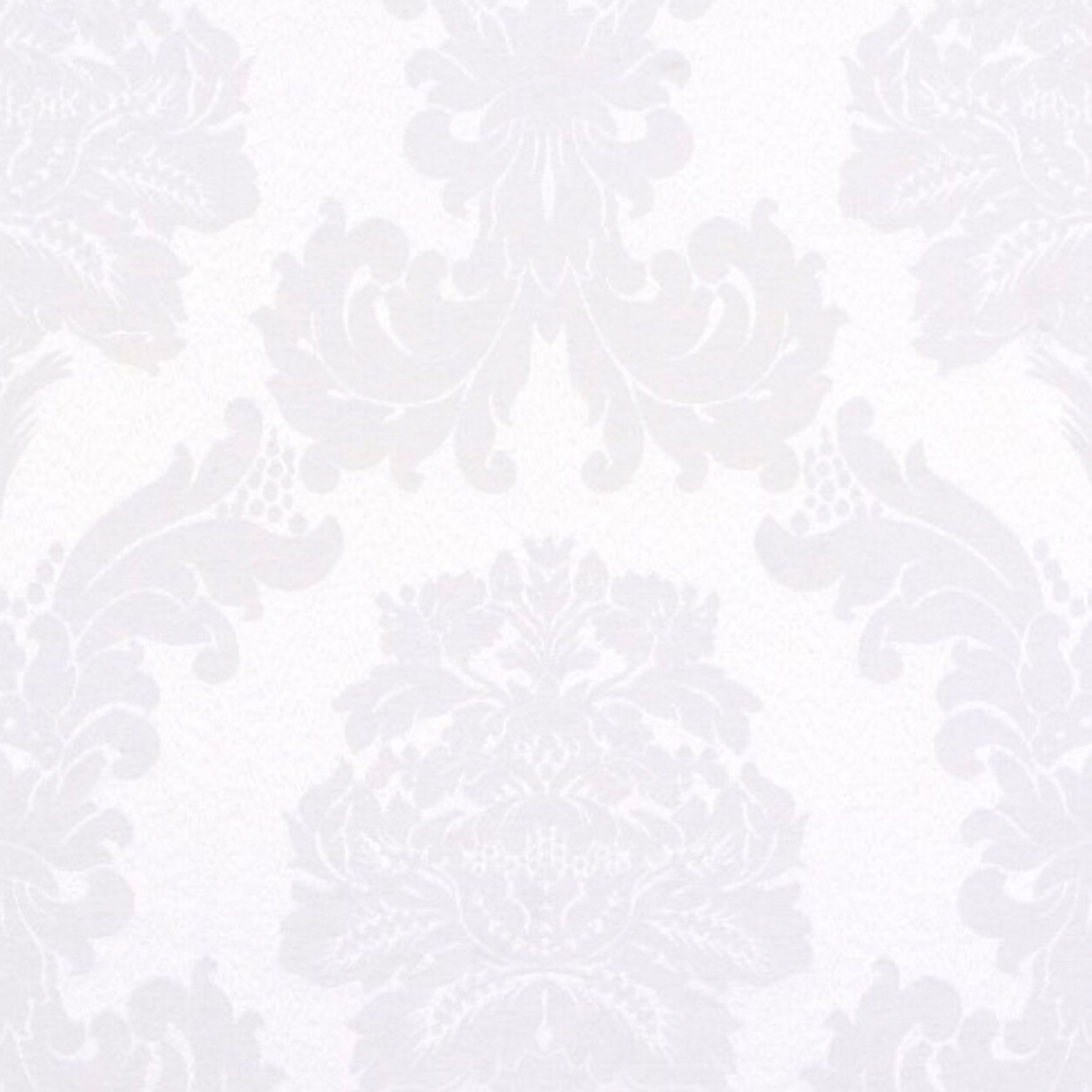 Damasco 613-00 feuilles d’acanthe sur fond blanc