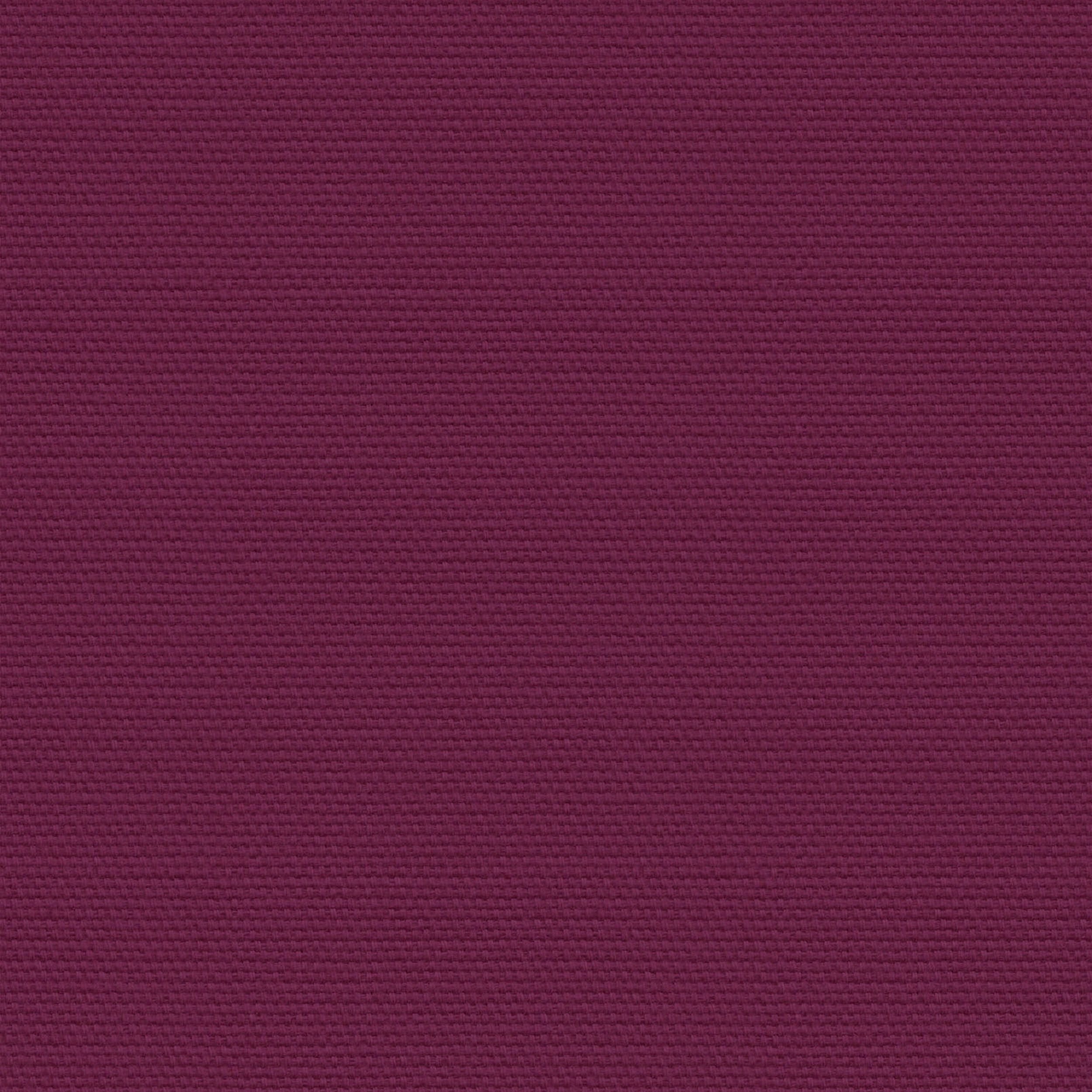 Cotton Panama 702-32 prune