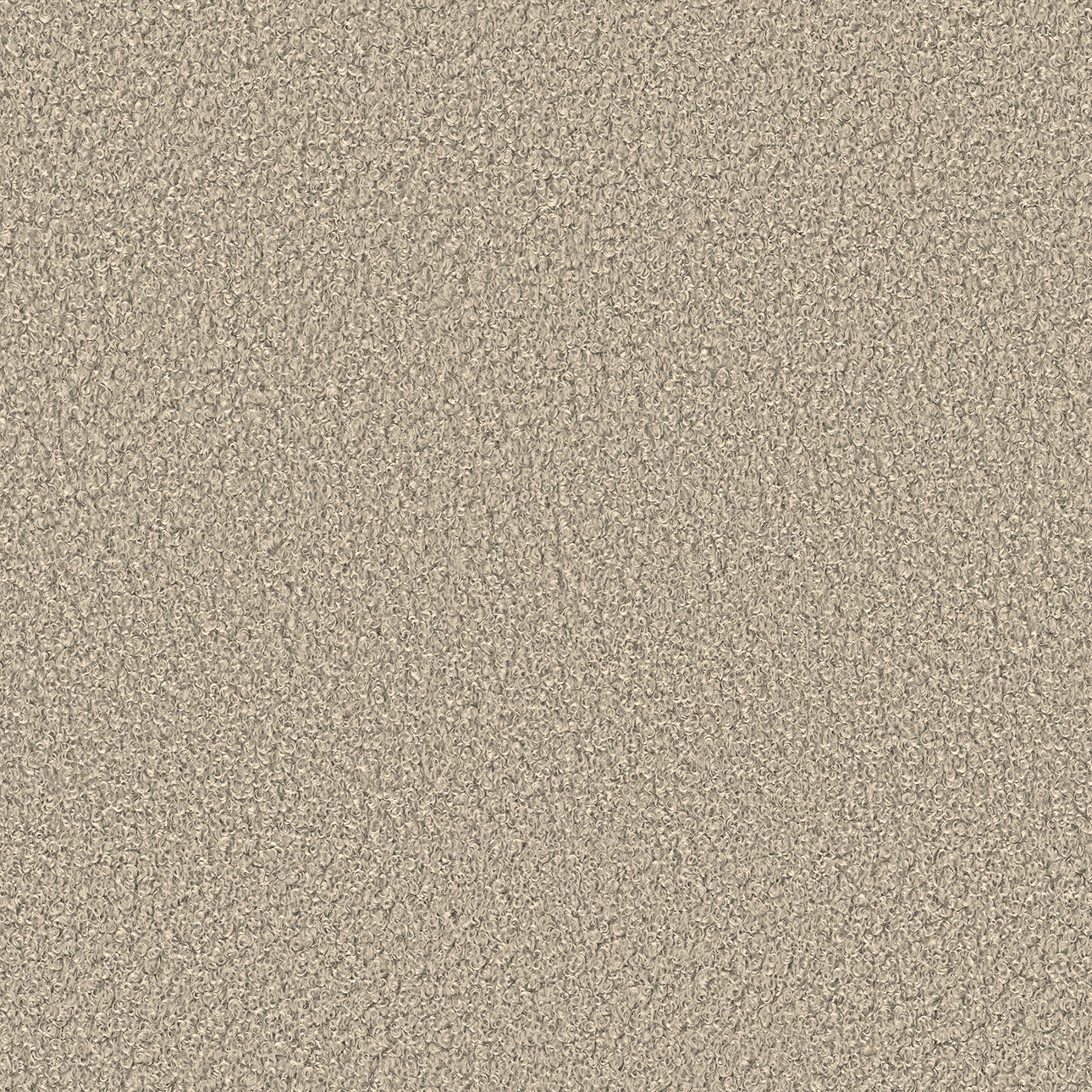 Boucle Teddy 702-81 beige clair